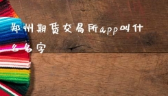 郑州期货交易所app叫什么名字