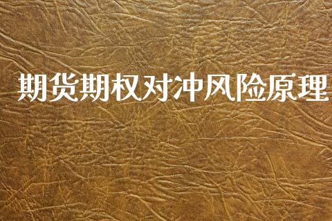 期货期权对冲风险原理_https://www.fansifence.com_恒指交易时间_第1张