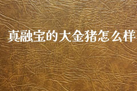 真融宝的大金猪怎么样_https://www.fansifence.com_恒指交易时间_第1张