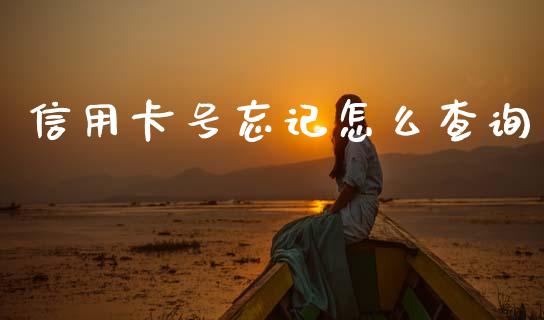 信用卡号忘记怎么查询_https://www.fansifence.com_国际期货行情_第1张