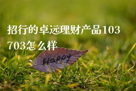 招行的卓远理财产品103703怎么样_https://www.fansifence.com_恒指交易时间_第1张