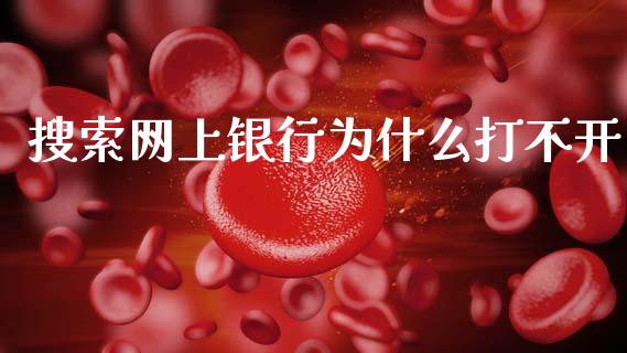 搜索网上银行为什么打不开_https://www.fansifence.com_国际期货行情_第1张