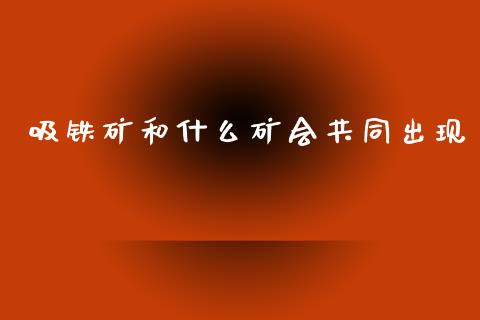 吸铁矿和什么矿会共同出现_https://www.fansifence.com_恒指交易时间_第1张
