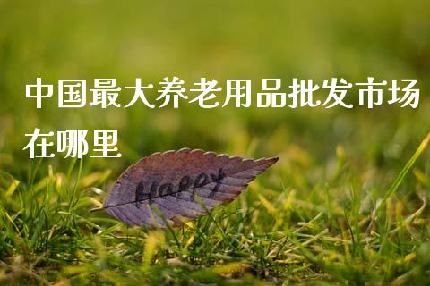 中国最大养老用品批发市场在哪里_https://www.fansifence.com_恒指交易时间_第1张