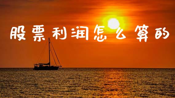 股票利润怎么算的_https://www.fansifence.com_中国国际期货_第1张