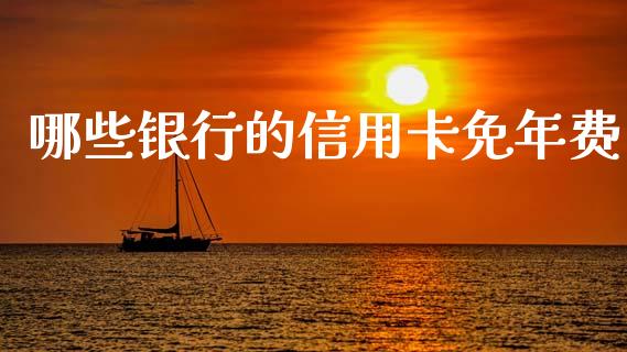 哪些银行的信用卡免年费_https://www.fansifence.com_中国国际期货_第1张