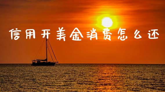 信用开美金消费怎么还_https://www.fansifence.com_中国国际期货_第1张
