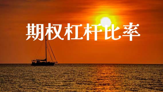 期权杠杆比率_https://www.fansifence.com_中国国际期货_第1张