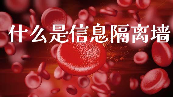 什么是信息隔离墙_https://www.fansifence.com_中国国际期货_第1张