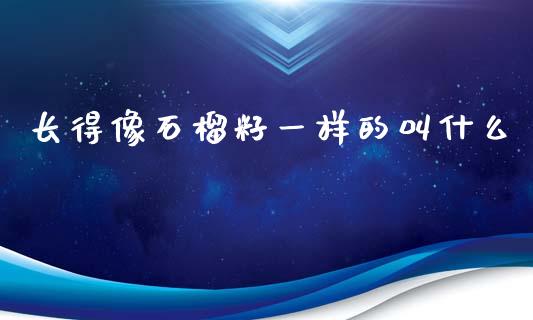 长得像石榴籽一样的叫什么_国际期货_第1张_国际期货_中国国际期货_恒指交易时间_国际期货行情 长得像石榴籽一样的叫什么_https://www.fansifence.com_国际期货_第1张