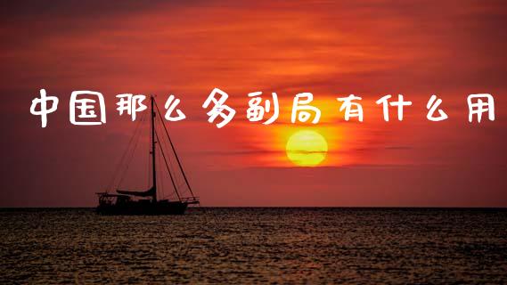 中国那么多副局有什么用_https://www.fansifence.com_国际期货_第1张