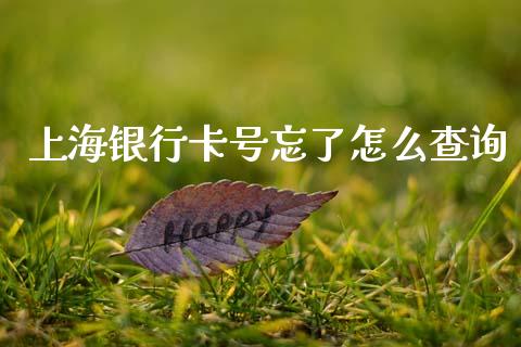 上海银行卡号忘了怎么查询_https://www.fansifence.com_中国国际期货_第1张