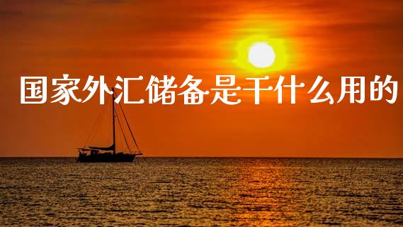 国家外汇储备是干什么用的_https://www.fansifence.com_恒指交易时间_第1张