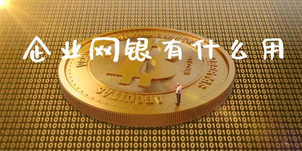 企业网银有什么用_https://www.fansifence.com_恒指交易时间_第1张