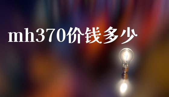 mh370价钱多少_https://www.fansifence.com_国际期货_第1张