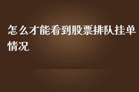 怎么才能看到股票排队挂单情况_https://www.fansifence.com_恒指交易时间_第1张