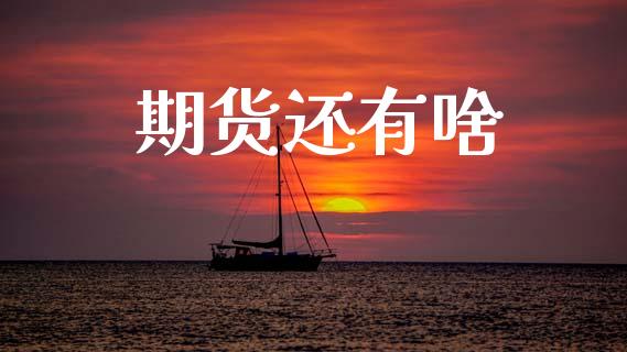 期货还有啥_https://www.fansifence.com_中国国际期货_第1张