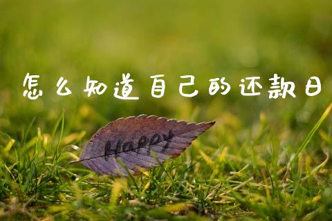 怎么知道自己的还款日_https://www.fansifence.com_恒指交易时间_第1张