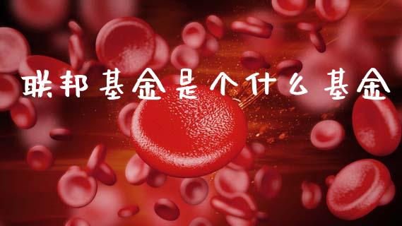 联邦基金是个什么基金_https://www.fansifence.com_国际期货_第1张