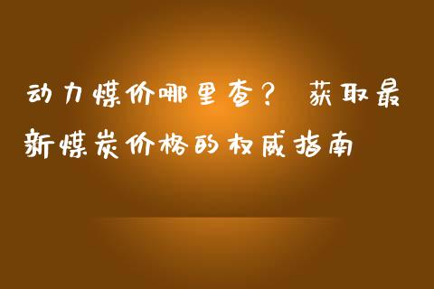 动力煤价哪里查？ 获取最新煤炭价格的权威指南_https://www.fansifence.com_中国国际期货_第1张