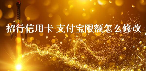 招行信用卡 支付宝限额怎么修改_https://www.fansifence.com_国际期货_第1张