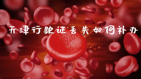 天津行驶证丢失如何补办_https://www.fansifence.com_恒指交易时间_第1张