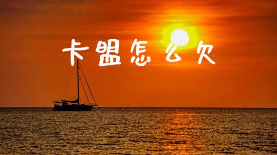 卡盟怎么欠_https://www.fansifence.com_中国国际期货_第1张