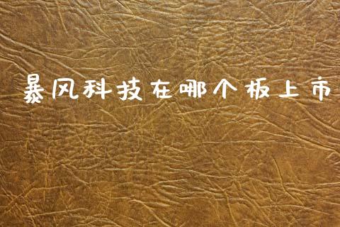 暴风科技在哪个板上市_https://www.fansifence.com_国际期货_第1张