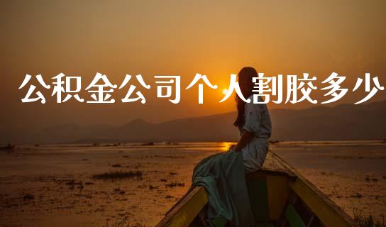 公积金公司个人割胶多少_https://www.fansifence.com_国际期货行情_第1张