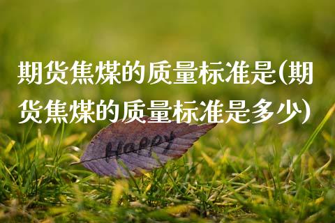 期货焦煤的质量标准是(期货焦煤的质量标准是多少)_https://www.fansifence.com_恒指交易时间_第1张