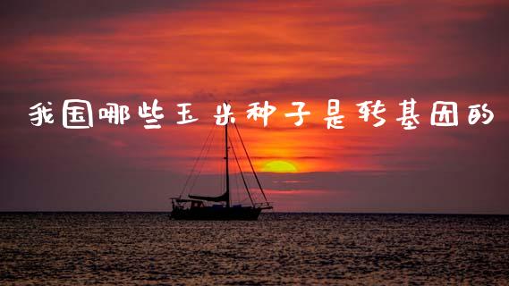 我国哪些玉米种子是转基因的_https://www.fansifence.com_中国国际期货_第1张