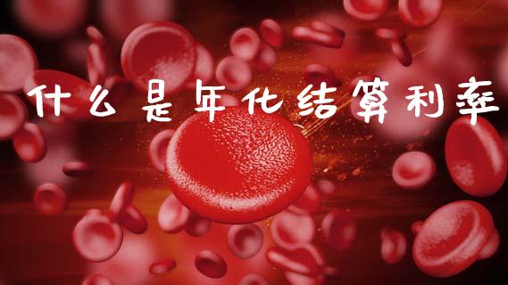 什么是年化结算利率_https://www.fansifence.com_国际期货_第1张