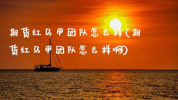 期货红马甲团队怎么样(期货红马甲团队怎么样啊)_https://www.fansifence.com_中国国际期货_第1张
