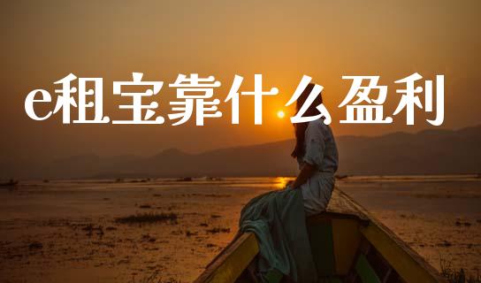 e租宝靠什么盈利_https://www.fansifence.com_国际期货行情_第1张