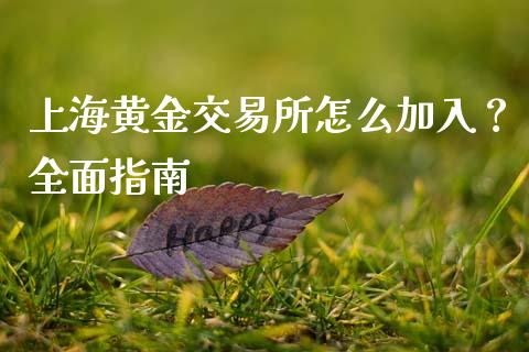 上海黄金交易所怎么加入?全面指南_国际期货_第1张_国际期货_中国国际期货_恒指交易时间_国际期货行情 上海黄金交易所怎么加入?全面指南_https://www.fansifence.com_国际期货_第1张