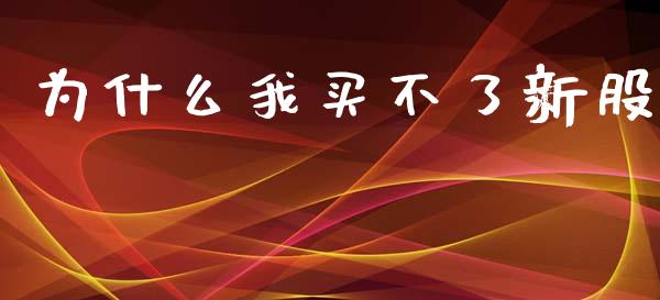 为什么我买不了新股_https://www.fansifence.com_恒指交易时间_第1张