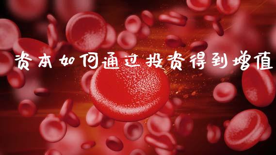 资本如何通过投资得到增值_https://www.fansifence.com_国际期货行情_第1张