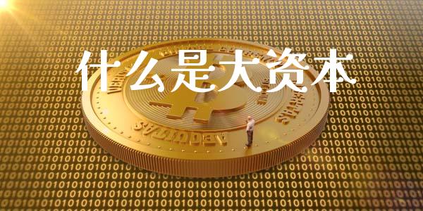 什么是大资本_https://www.fansifence.com_国际期货_第1张