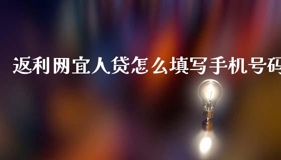 返利网宜人贷怎么填写手机号码_https://www.fansifence.com_国际期货_第1张