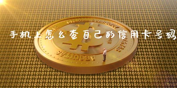 手机上怎么查自己的信用卡号码_https://www.fansifence.com_恒指交易时间_第1张