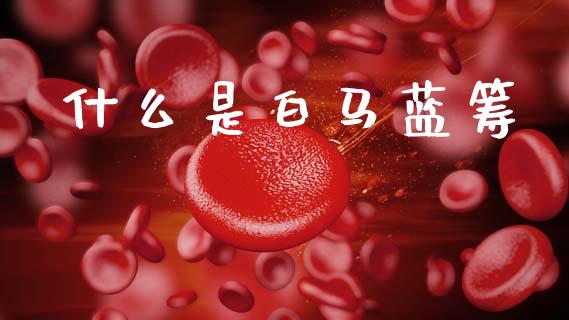 什么是白马蓝筹_https://www.fansifence.com_国际期货行情_第1张