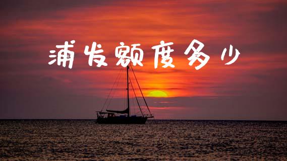 浦发额度多少_https://www.fansifence.com_中国国际期货_第1张