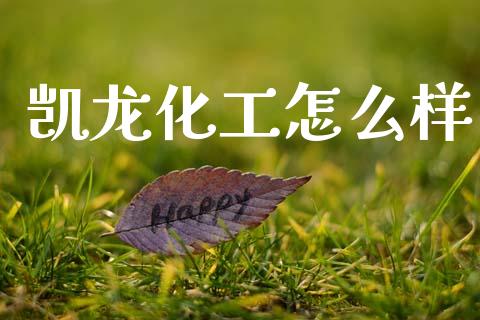 凯龙化工怎么样_https://www.fansifence.com_国际期货_第1张