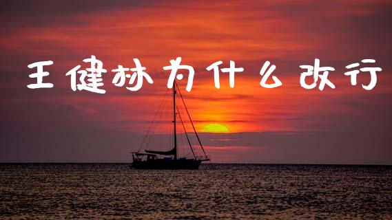 王健林为什么改行_https://www.fansifence.com_恒指交易时间_第1张