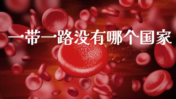 一带一路没有哪个国家_https://www.fansifence.com_国际期货行情_第1张
