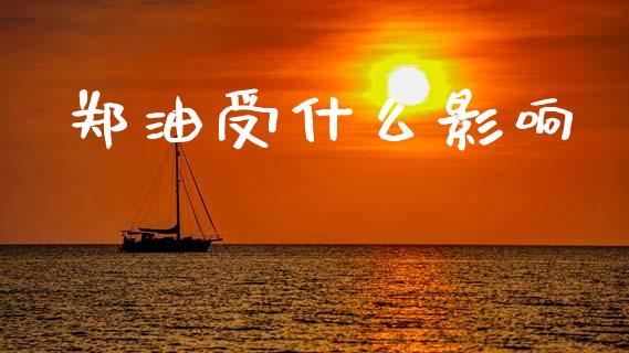 郑油受什么影响_https://www.fansifence.com_国际期货行情_第1张