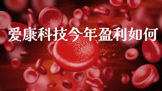 爱康科技今年盈利如何_https://www.fansifence.com_国际期货_第1张