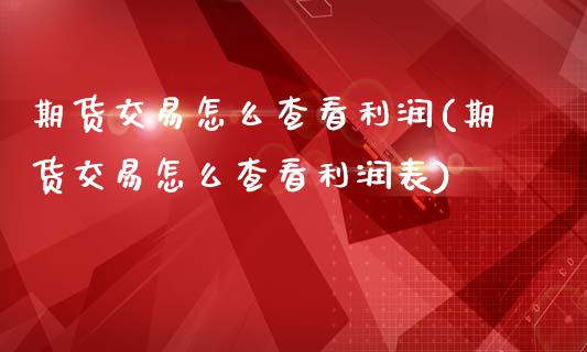 期货交易怎么查看利润(期货交易怎么查看利润表)_https://www.fansifence.com_恒指交易时间_第1张