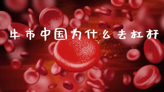牛市中国为什么去杠杆_https://www.fansifence.com_中国国际期货_第1张