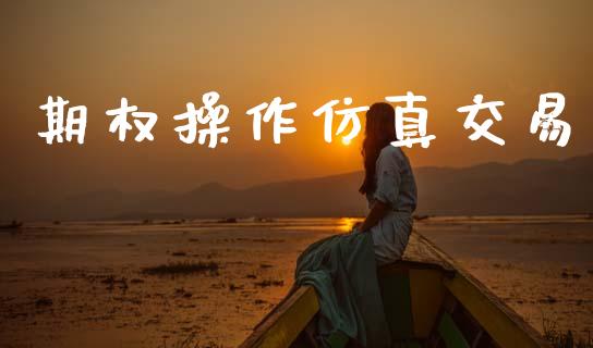 期权操作仿真交易_https://www.fansifence.com_恒指交易时间_第1张